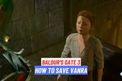 Baldur's Gate 3 Save Vanra